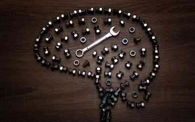 大脑的更小的部分