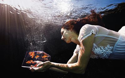 拿着一个清楚的立方体的水中的妇女填满金鱼